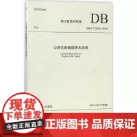 公路瓦斯隧道技术规程 四川省交通运输厅公路规划勘察设计研究院 主编 标准专业科技 正版图书籍 西南交大出版社