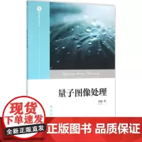 量子图像处理 姜楠 著 图形图像/多媒体(新)专业科技 正版图书籍 清华大学出版社