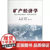 矿产经济学/成金华 成金华 著作 著 大学教材大中专 正版图书籍 中国地质大学出版社