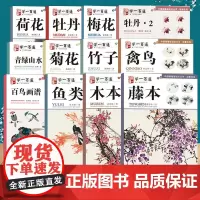 写意花鸟中国画基础技法丛书全12册 学一百通梅兰竹菊花鸟鱼虫藤本白鸟画谱国画技法教程详解大全从入门到精通初学者自学绘画书