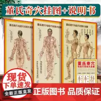正版3张 董氏奇穴与经穴对照大挂图 可搭配邱雅昌杨维杰董氏奇穴实用手册原理结构穴位诠解治疗析要等书籍中医中国医药科技出版