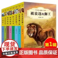沈石溪动物小说全套全集8册中外动物小说精品 小学生课外阅读书籍 被放逐的狮王 34-5-6三四五六年级课外书 老师 书籍