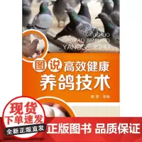图说高效健康养鸽技术 9787122289667 肉鸽养殖与管理技术