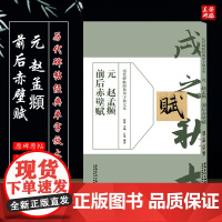 历代碑帖经典单字放大本 元 赵孟頫前后赤壁赋 碑帖书法练字帖 简体旁注 周赞主编吴潺编著 毛笔书法字帖 安徽美术出版社