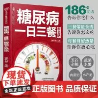 糖尿病一日三餐怎么吃 糖尿病食谱 糖尿病食物 糖尿病饮食 食疗养生食谱书籍大全养生书籍营养食谱九种体质 的主食 糖