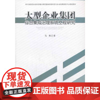 大型企业集团综合集成治理系统工程研究