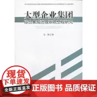大型企业集团综合集成治理系统工程研究