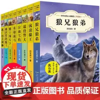 沈石溪动物小说全集系列全套8册正版初中三四五六年级小学生课外读书籍狼兄狼弟10-12-15岁少儿童阅读物图书狼王梦书 排