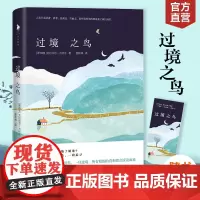 [白马时光店] 《过境之鸟》 赠精美书签 比肩村上春树写作风格 媲美东野圭吾的情节设定 经典悬疑推理书