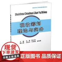 税收筹划理论与实务 龙敏9787550433847西南财经大学出版社