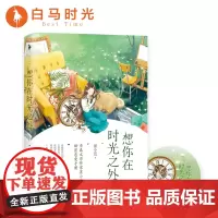 [白马时光店]《想你在时光之外》全新番外+赠精美“时光”卡片 青春文学作家墨小芭甜蜜恋爱手册 书籍 爱情校园小说