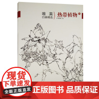 热带植物四 唯美白描精选系列丛书 刘秋阳绘 中国画白描技法技巧当代画家唯美作品临摹参考指导书专业美术欣赏绘画入门