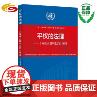 平权的法理 ——《残疾人权利公约》解读 残疾人-权利-国际条约-研究 残疾人权利保护、公约解读 条款解读权利保护