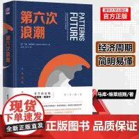 第六次浪潮 康波周期理论涛动周期论 马库 维莱纽斯 经济周期 价值观体制商业模式 现代经济的波动周期 新技术网络投资书籍
