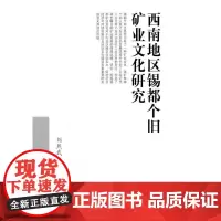 西南地区锡都个旧矿业文化研究西南财经大学出版社正版自营
