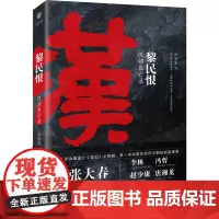 [海南出版社]黎民恨:汉朝衰亡录 一本书看懂汉衰真相,政权成败,皆在民心 中国古代历史小说 汉朝那些事儿 汉书书籍