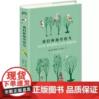 我们林地里的鸟 [英]马特·休厄尔 著 苏澄宇 译 图文集 写给大人与小孩的艺术科普读物 迷人鸟类世界 浦睿文化 正版