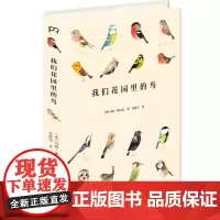 我们花园里的鸟 [英]马特·休厄尔 著 苏澄宇 译 图文集 写给大人与小孩的艺术科普读物 迷人鸟类世界 礼物图文书 浦睿