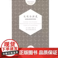 文化与历史:文明比较研究导论(文明与世界译丛)