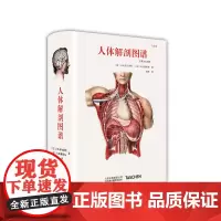 人体解剖图谱 中文版Taschen原版引进Altas of Human Anatomy人体解剖图谱 真人比例人体手绘手稿
