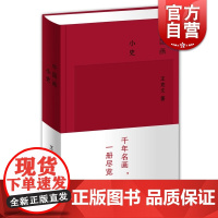 中国画小史 绘画理论 山水花鸟 艺术绘画 绘画书籍 中国绘画史 绘画发展史 上海辞书出版社