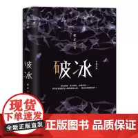 [优惠]新书 破冰 张正著 金钱诱惑、岗位魔咒、中国商战小说,揭露对外贸易战鲜为人知的波谲云诡 中国当代文学长篇小说