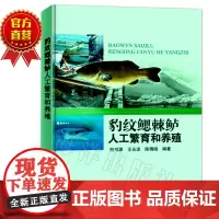 []豹纹鳃棘鲈人工繁育和养殖 鲈形目 鱼类养殖 豹纹鳃棘鲈繁殖生物学 鱼种培育书 商品鱼养殖和病害防控 中国海洋出版社