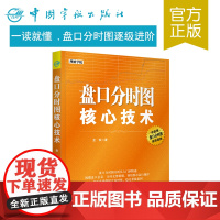 正版书籍 盘口分时图核心技术 投资理财 股票