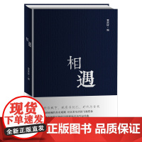 正版书籍相遇 臧棣周伟驰杨铁军席亚兵冷霜倾情 雷武铃等现代诗歌作品集当代文学诗词赏析即兴诗歌人生哲学现代诗