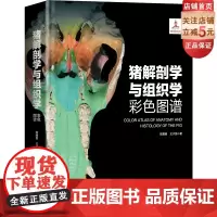 猪解剖学与组织学彩色图谱