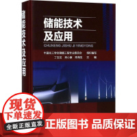 储能技术及应用 中国化工学会储能工程专业委员会 新能源汽车锂电池储能物理储能风力发电储热冷光伏储能技术工作原理分析参考书