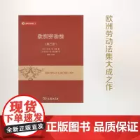 欧洲劳动法(第三册) (威科法律译丛)[比]罗杰·布兰潘 著 付欣 高一波 张蕊楠 译 商务印书馆