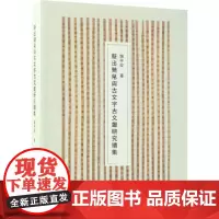 新出简帛与古文字古文献研究续集 赵平安 著 著 语言文字经管、励志 正版图书籍 商务印书馆