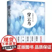 穿云鸟 蒋涌 著 军事小说文学 正版图书籍 重庆出版社