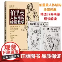 伯里曼人体结构绘画教学+伯里曼画手+画人体 理解人体形态人体骨骼肌肉解剖实用人体素描速写人物基础技法教程 铅笔漫画素描教