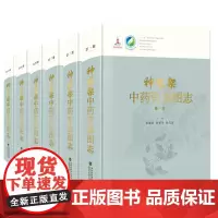 [店]神农架中药资源图志 中国中药资源大典 山脉卷 植物百科图谱大全自然科学 花草功效及作用植物野外实习参考