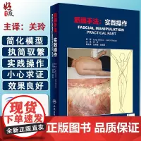 筋膜手法 实践操作关玲主译掌握筋膜手法工具书筋膜手法肌肉骨骼疼痛运动筋膜学 筋膜的解剖治疗筋膜手法书籍人卫版978711