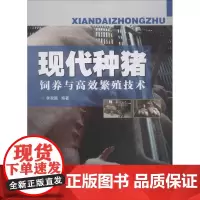 现代种猪饲养与高效繁殖技术 李观题 编著 畜牧/养殖专业科技 正版图书籍 中国农业科学技术出版社