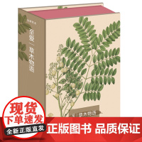 正版书籍 出类艺术明信片 至爱·草木物语清新唯美植物画片草木物语创意生日贺卡 科罗曼岸德海岸植物手绘画集明信片