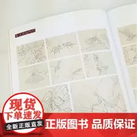 李君琳画草虫画鸟精选2册 中国画白描动态写生水墨画鸟册页作品欣赏 工笔画鸟草虫多样技法大全教材初学者入门基础教程正版书籍