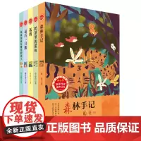 冰心奖-获奖作家佳作丛书·第二辑