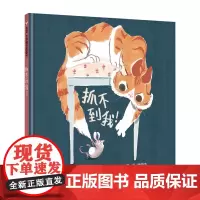正版图书 信谊精选图画书 抓不到我 精装硬壳绘本幼儿园小学生0-3-6-9周岁儿童亲子阅读系列书籍提升心智明天出版社