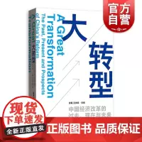 大转型 中国经济改革的过去、现在与未来 改革开放 探索中国未来 中国战略 中国智慧 中国经验 金融 格致出版社