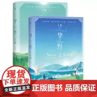 []挚野1+2 赠超甜蜜有声卡番外高人气悬爱作家丁墨首部热血逐梦之作撩爆少女心影视原著书小说待我有罪时