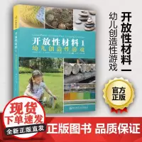 正版 开放性材料1 幼儿创造性游戏 [美]莉萨.戴利 带你认识开放性材料的早期育实践 南京师范大学出版社NY