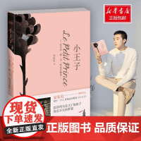 小王子/安东尼 安东尼·德·圣·埃克苏佩里 著 安东尼 译 世界名著文学 正版图书籍 湖南文艺出版社
