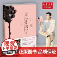 小王子/安东尼 安东尼·德·圣·埃克苏佩里 著 安东尼 译 世界名著文学 正版图书籍 湖南文艺出版社