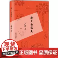 正版 看上去很美 中国当代小说 书籍