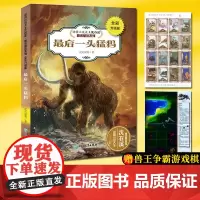 最后一头猛犸(全彩升级版) 动物小说大王沈石溪精读酷玩系列 狼王梦作者儿童文学书籍6-12周岁三四五六年级小学生课外阅读