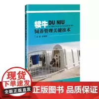 犊牛饲养管理关键技术 孙鹏著 牛犊小牛饲养管理技术 青年牛饲养管理技术9787511636102